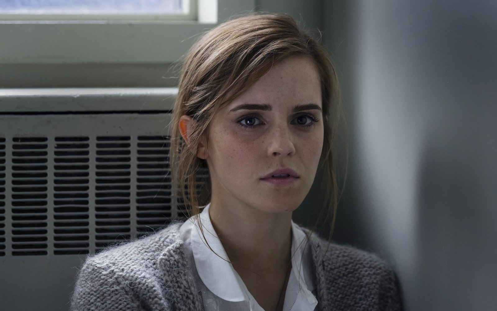 Emma Watson women face actress movies Colonia sweater