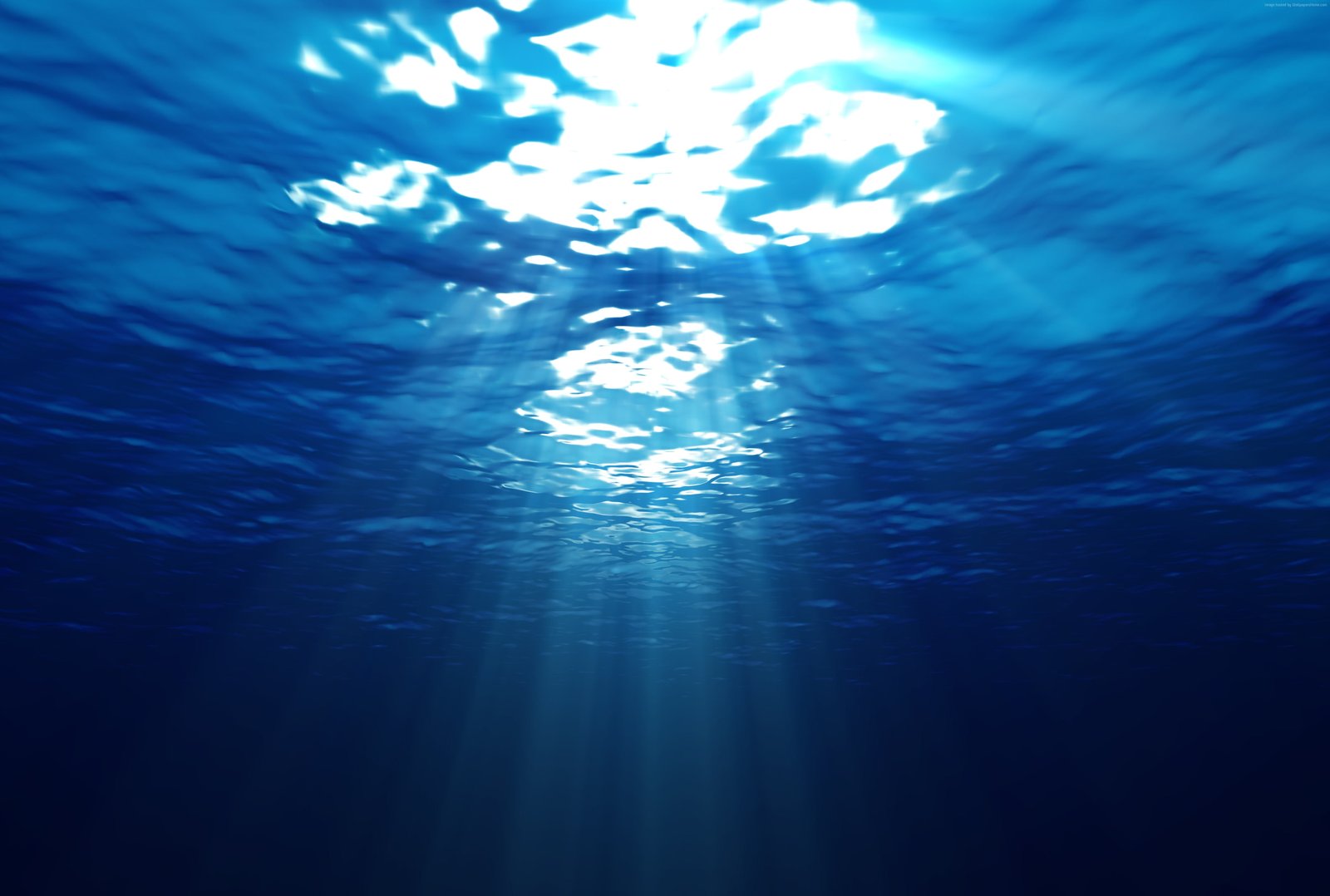 deep Windows ocean underwater 2k 4k 5k