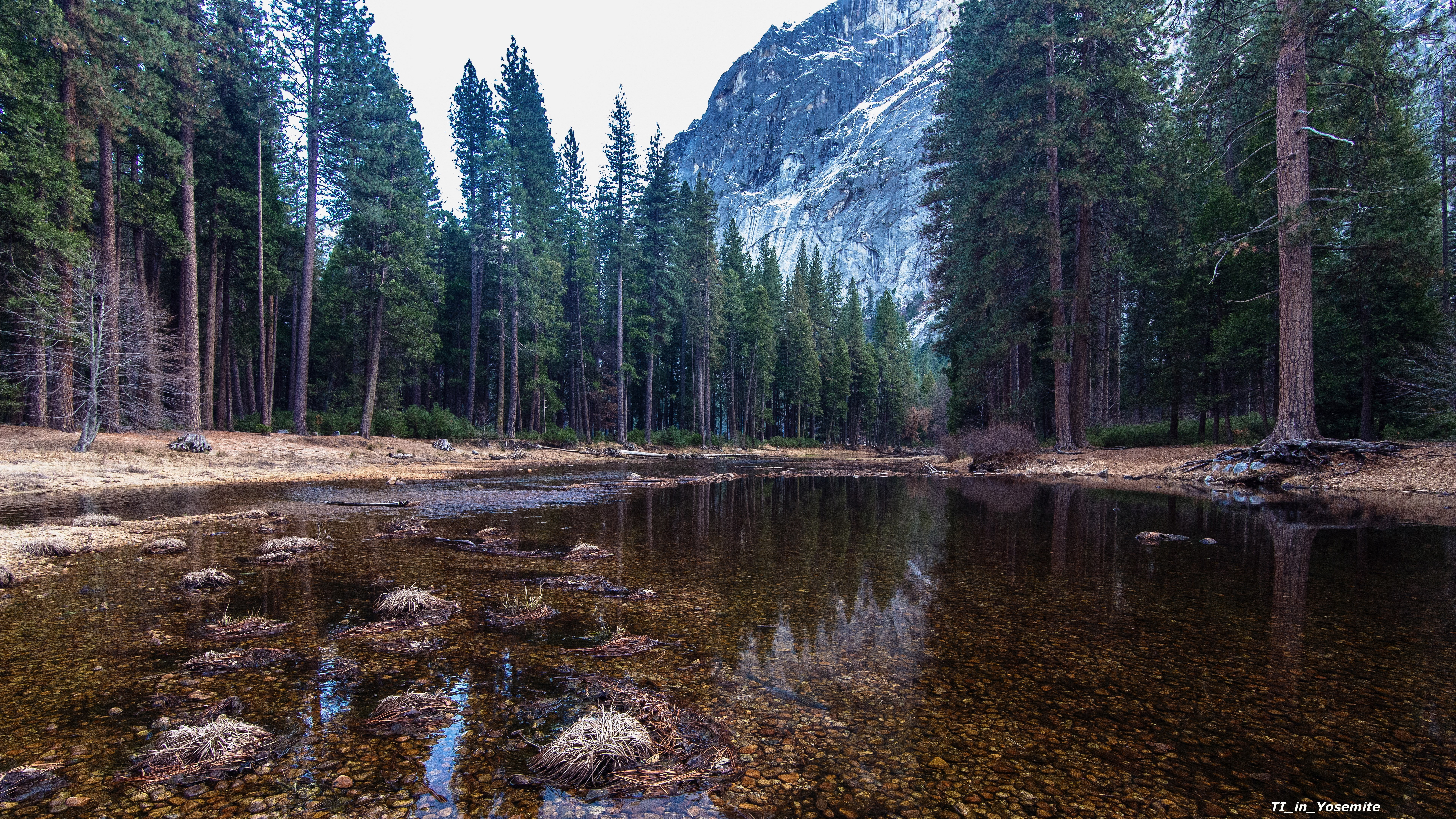 nature yosemite tree water plant forest tranquility 2k 4k 5k 8k