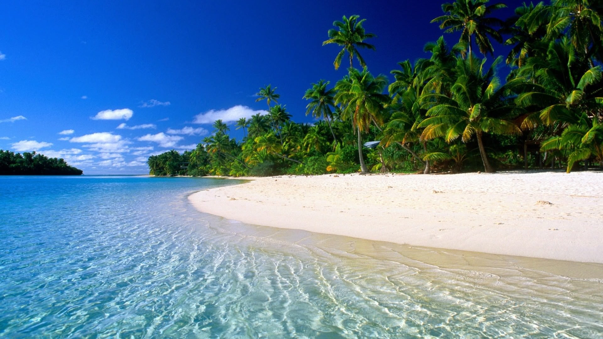 Beach desktop background water tropical climate 2k