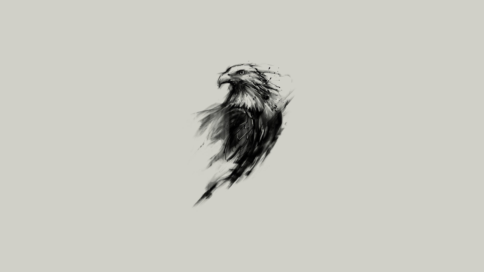 eagle sketch bald birds simple background sketches 2k