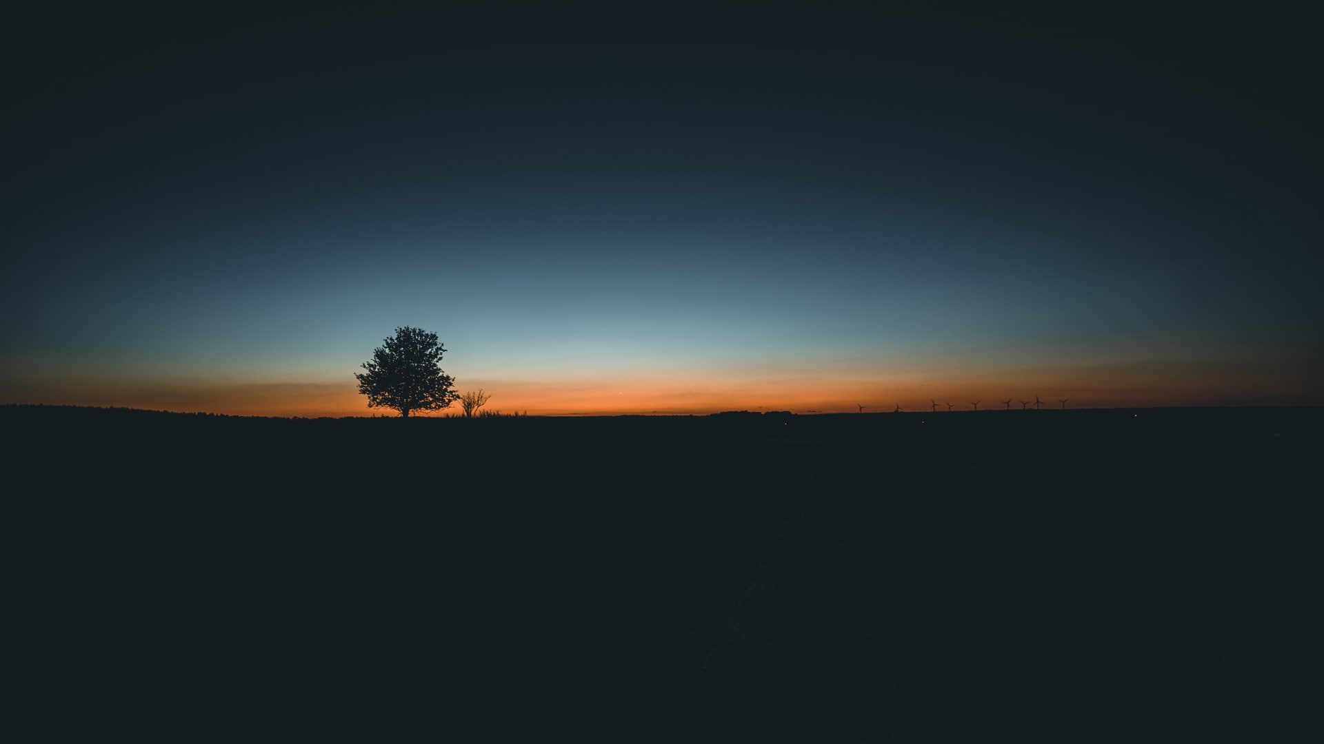 Beautiful Minimalistic sunrise sky tree tranquility silhouette 2k