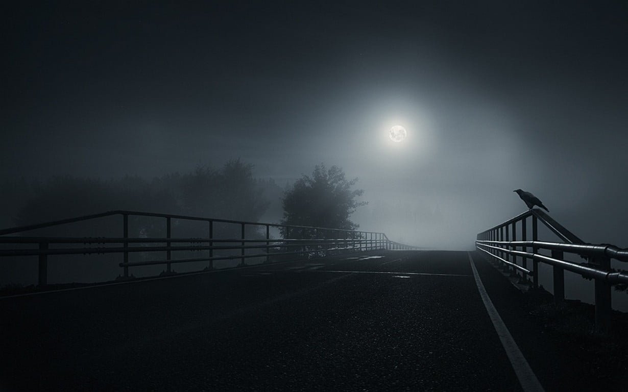 grayscale photo of metal railing bridge dark Moon crow birds