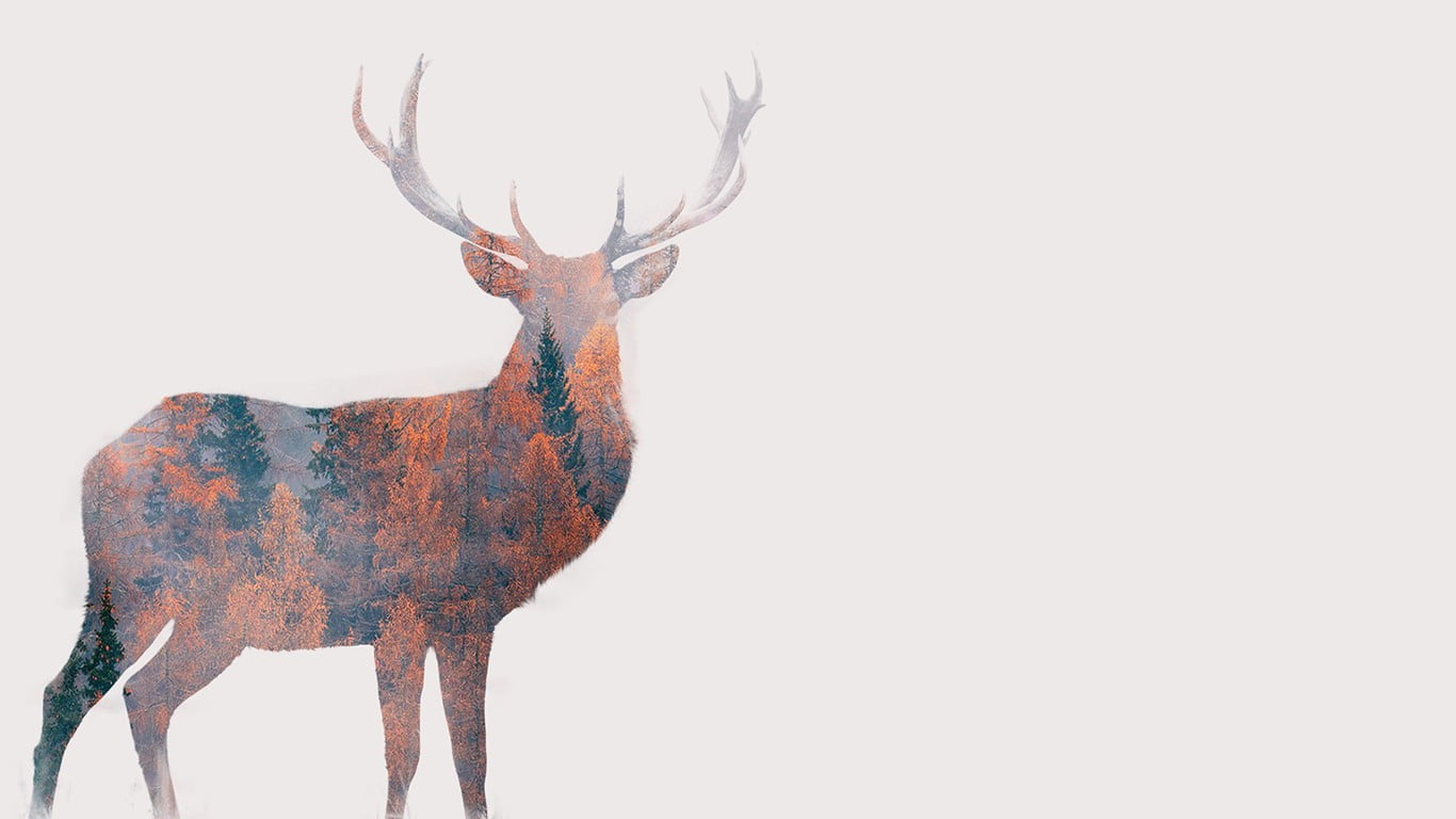 deer painting brown and black digital art animals