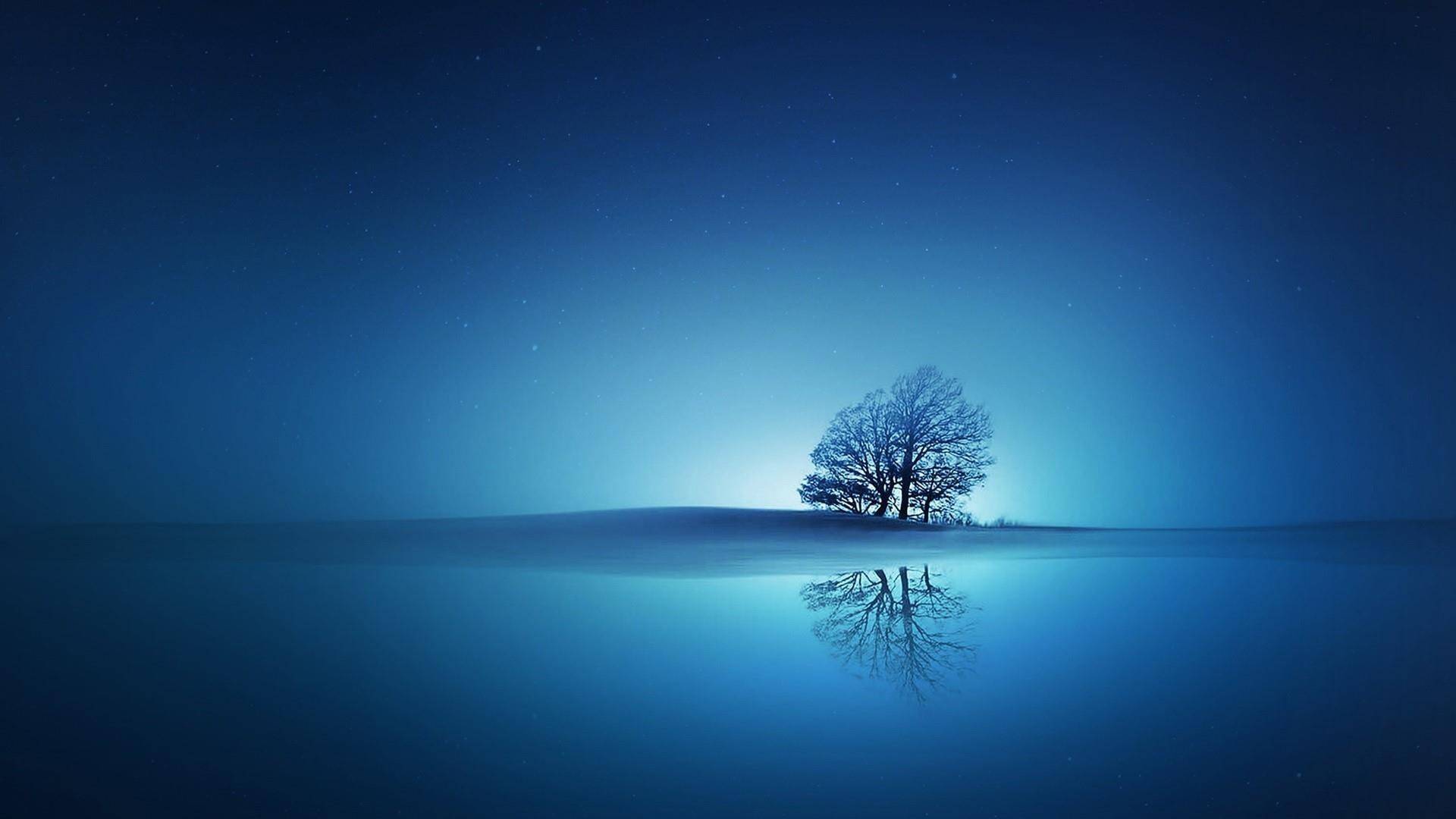 nature lone tree lonely bluish reflection reflected 2k