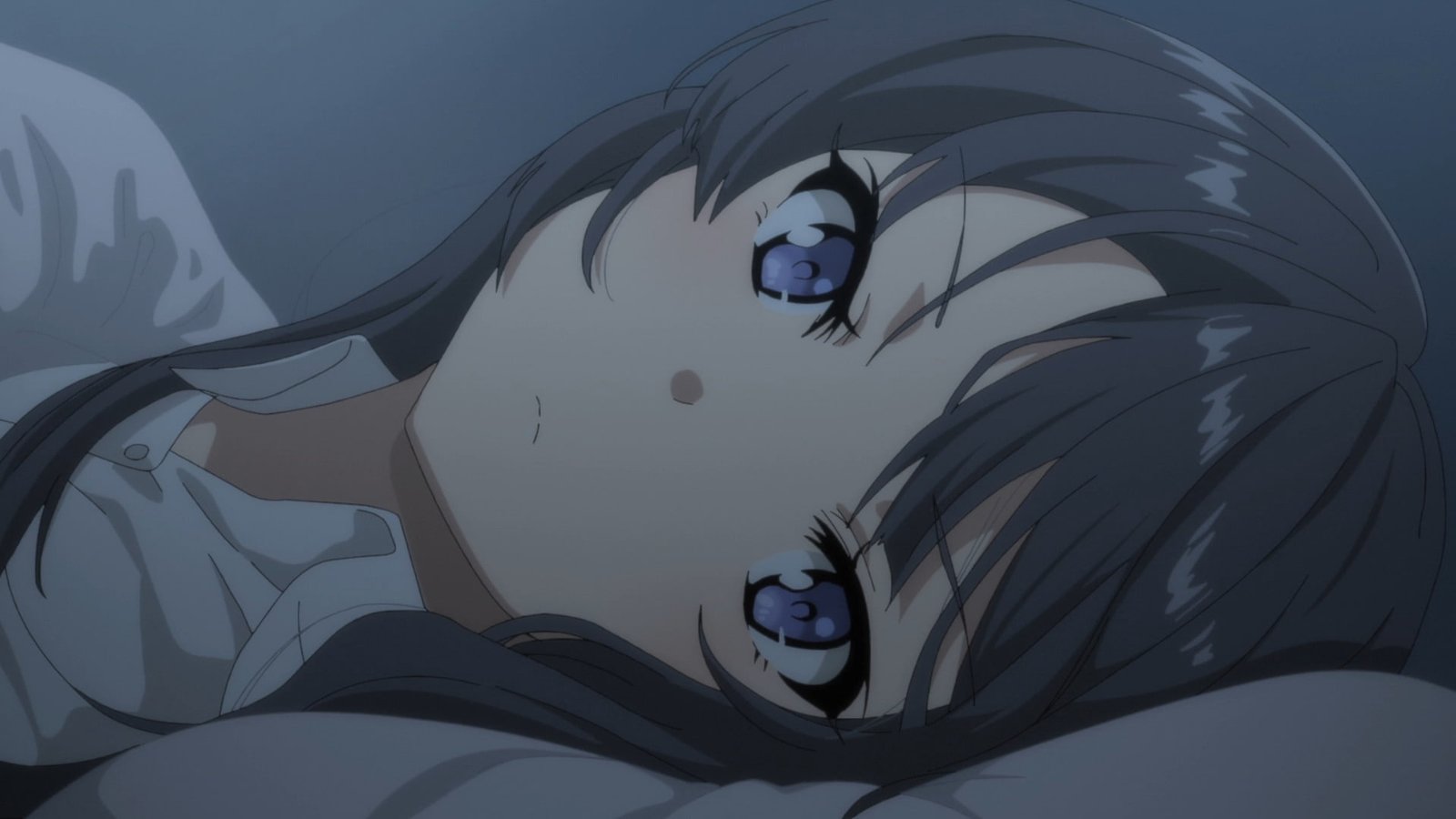 Anime Rascal Does Not Dream of Bunny Girl Senpai Mai Sakurajima 2k