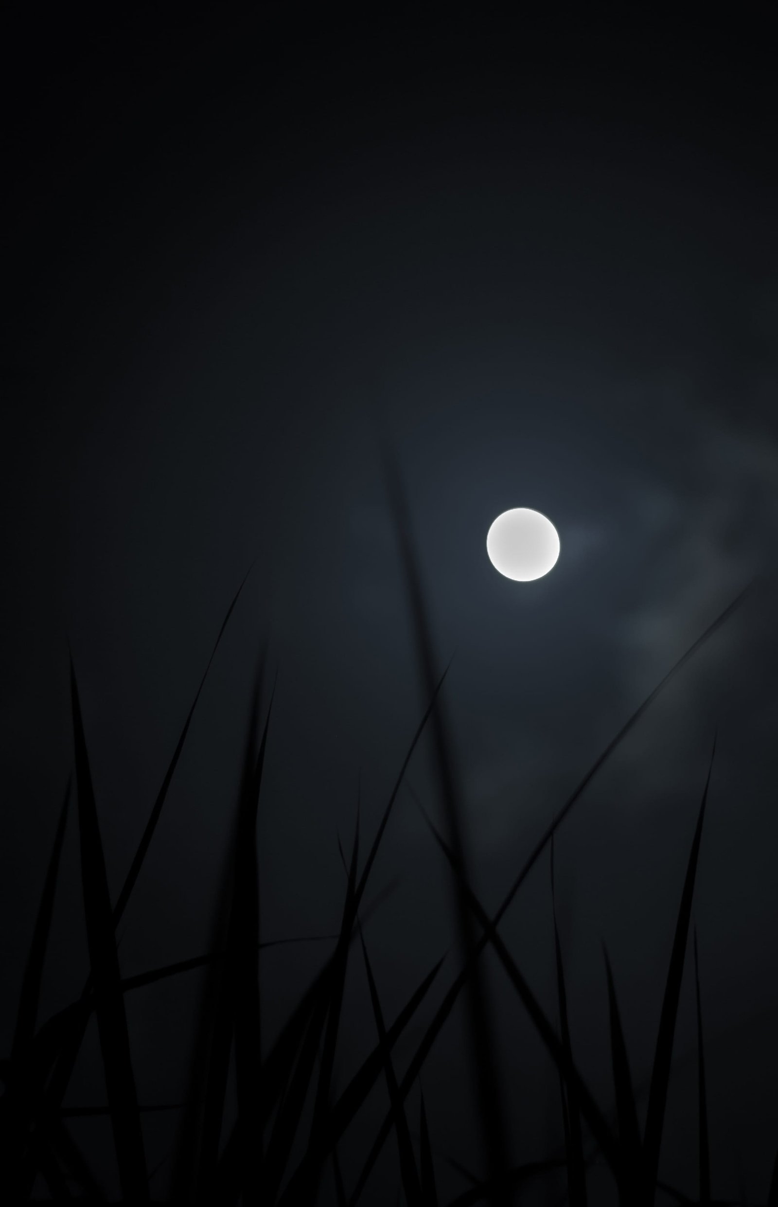 martinique le robert grass light amoled stars dark moon 2k