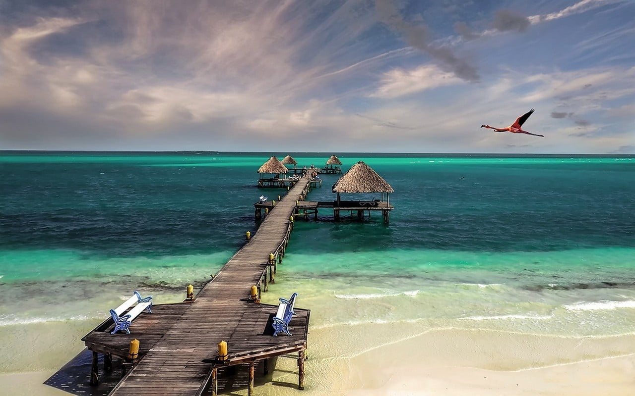 brown wooden dock Cuba beach birds sea sand walkway hut