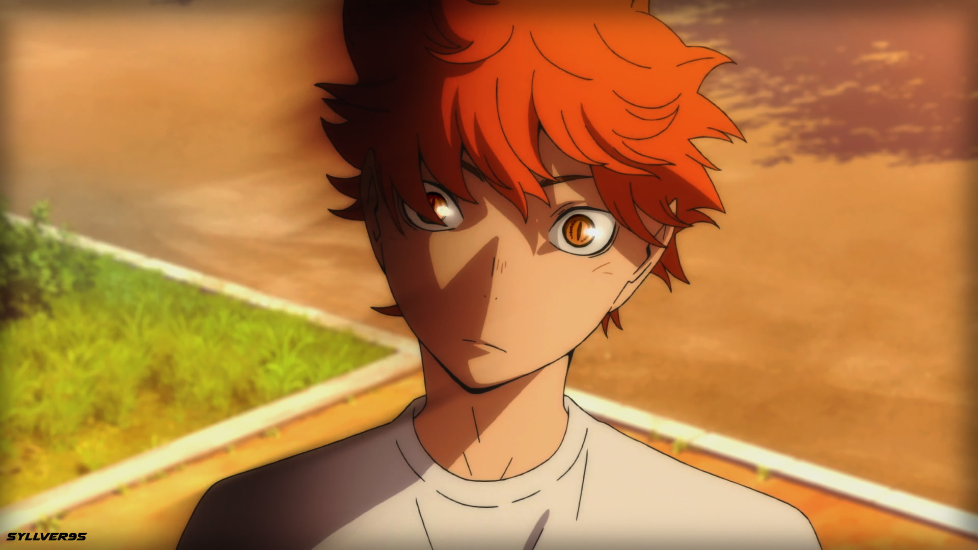 Anime Haikyu Haikyuu Sh y Hinata 2k