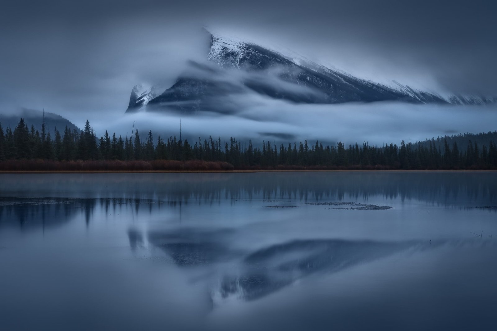 glassy water and pine trees nature landscape mountains clouds 2k