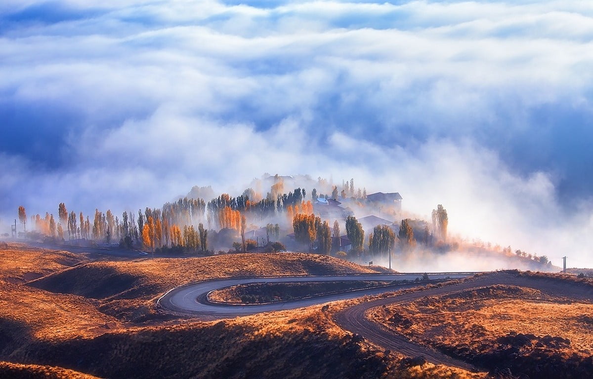 green leafed trees nature landscape road mist fall clouds