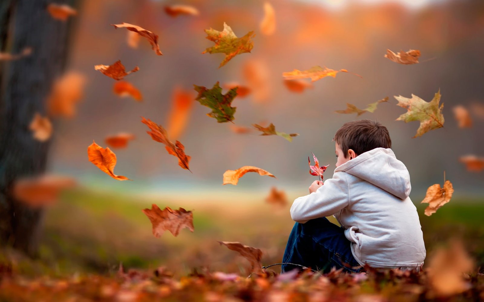 Emptiness Boy boy's gray hoodie Baby cute autumn sadness 2k