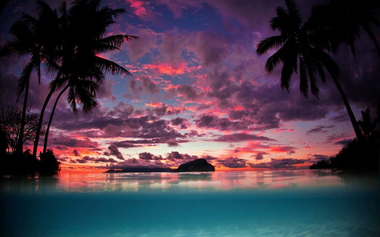 landscape beach sunset tropical nature palm trees water