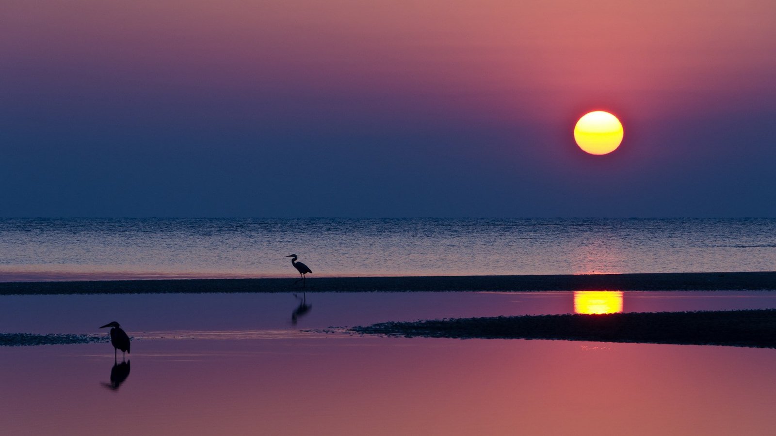 pc nature hd pictures 2k
