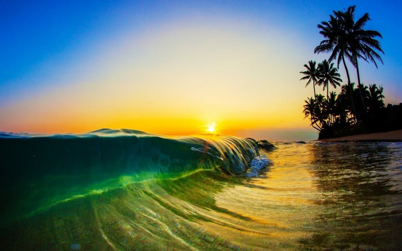 sea wave nature landscape sunlight morning beach waves