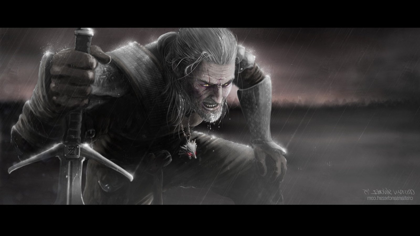 the witcher 2k