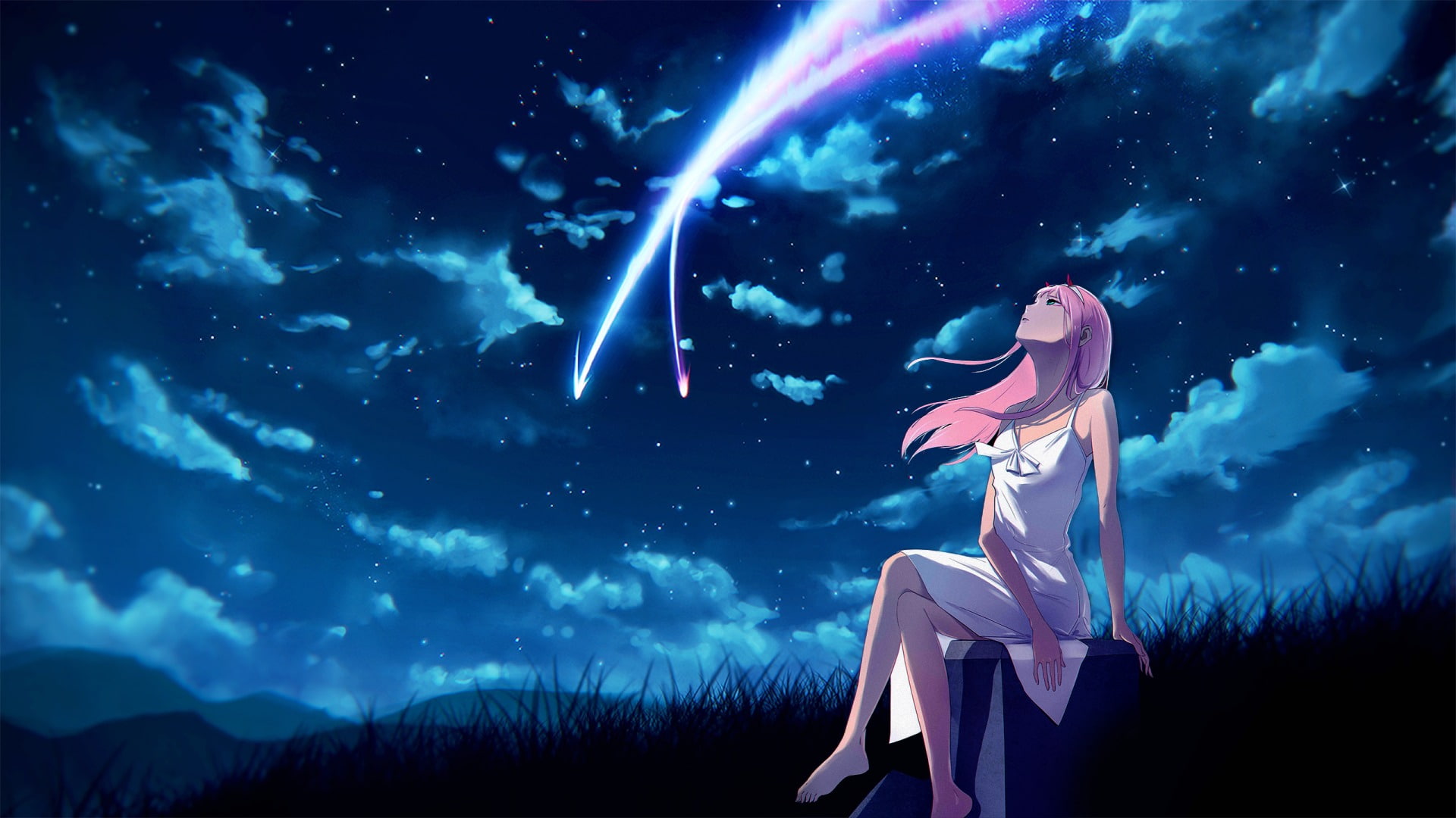 Anime Crossover Darling in the FranXX Kimi No Na Wa Zero Two 2k