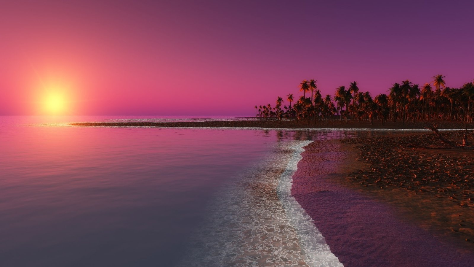 Beach sunset palm trees sea dusk 2k