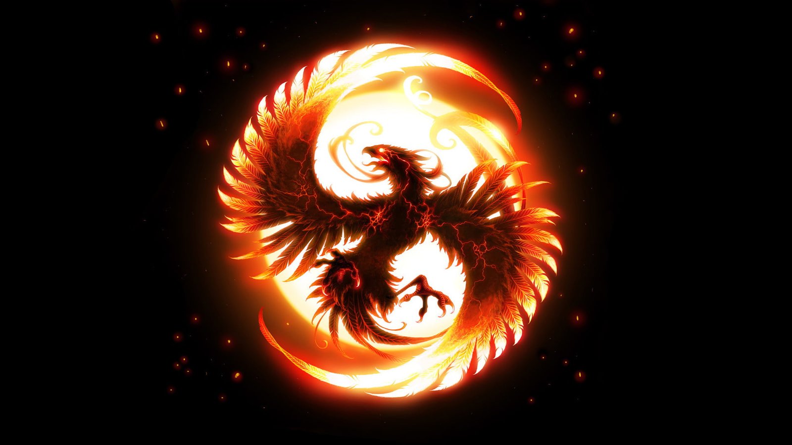 black phoenix illustration fire bird wings Natural Phenomenon 2k