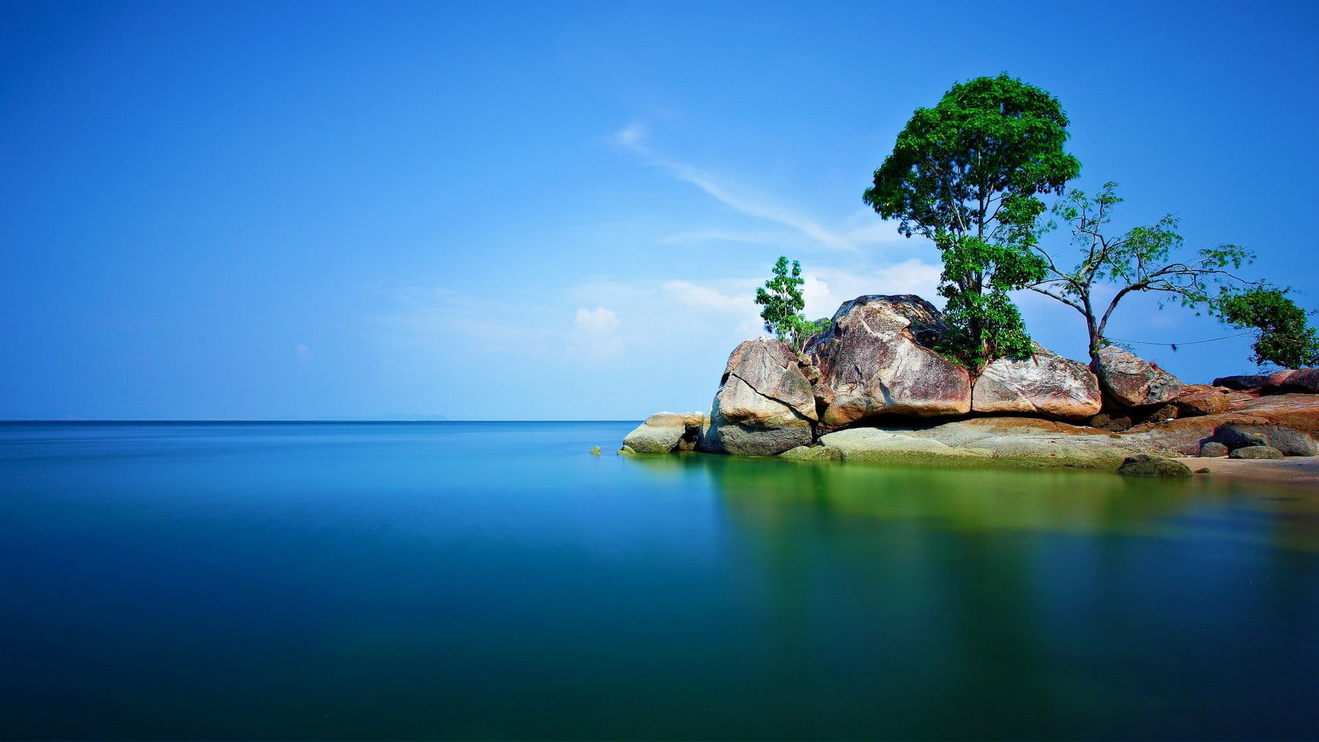 brown rock near seashore at day time trees nature alone landscape 2k