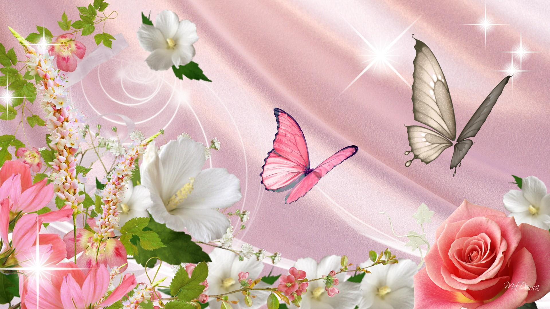 Abundance Of Flowers flowers and butterflies wallpaper roses 2k