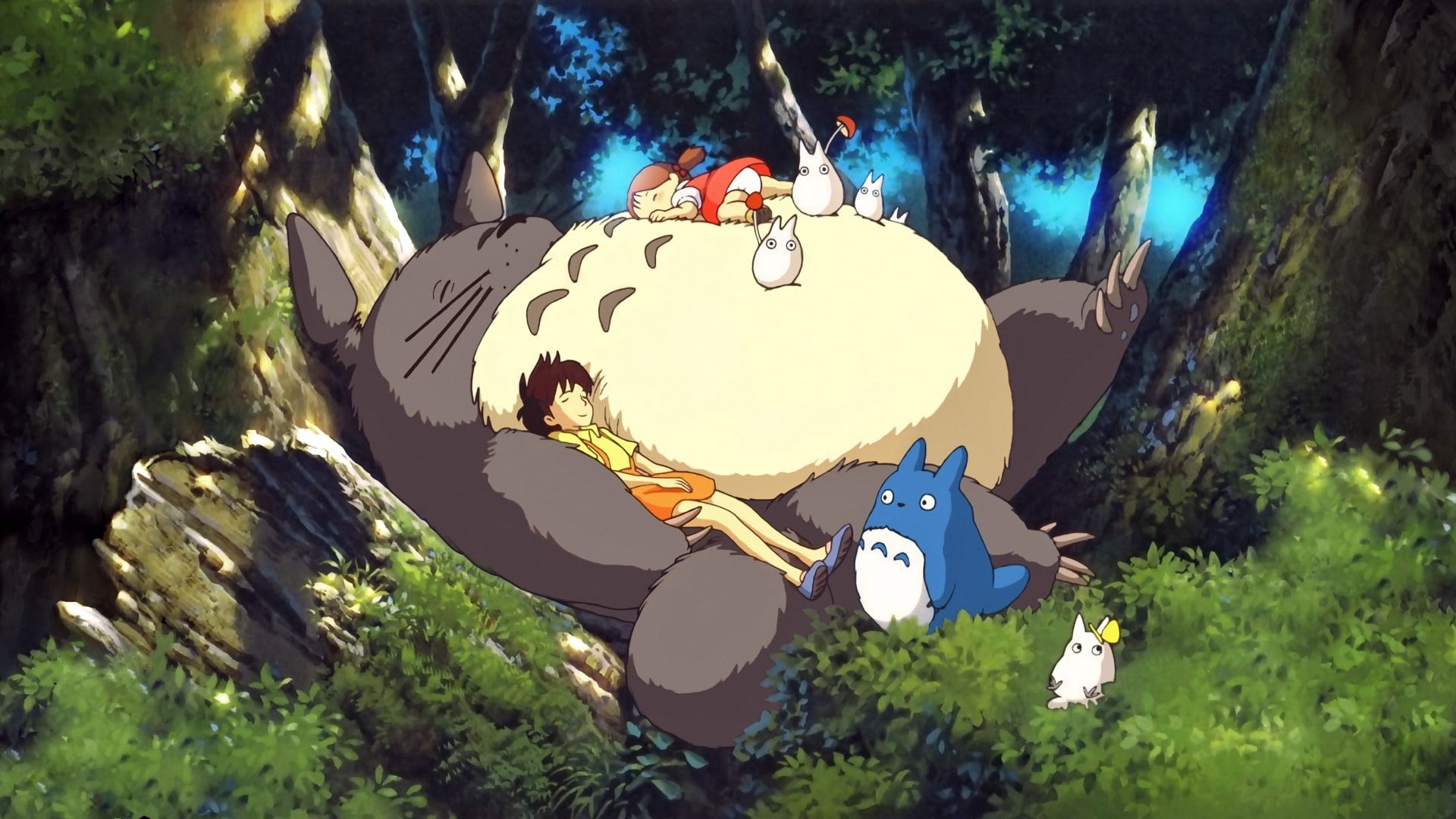 animal wallpaper My Neighbor Totoro anime Studio Ghibli tree 2k