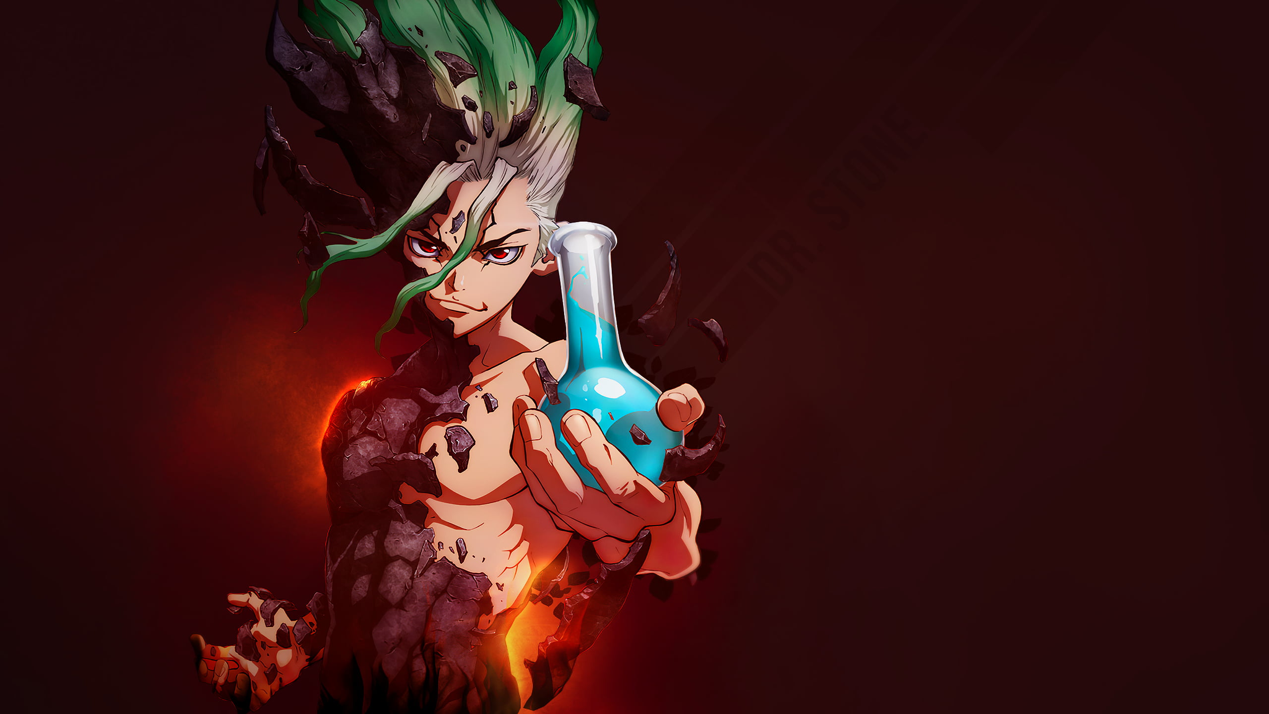 Dr Stone anime flask 2k