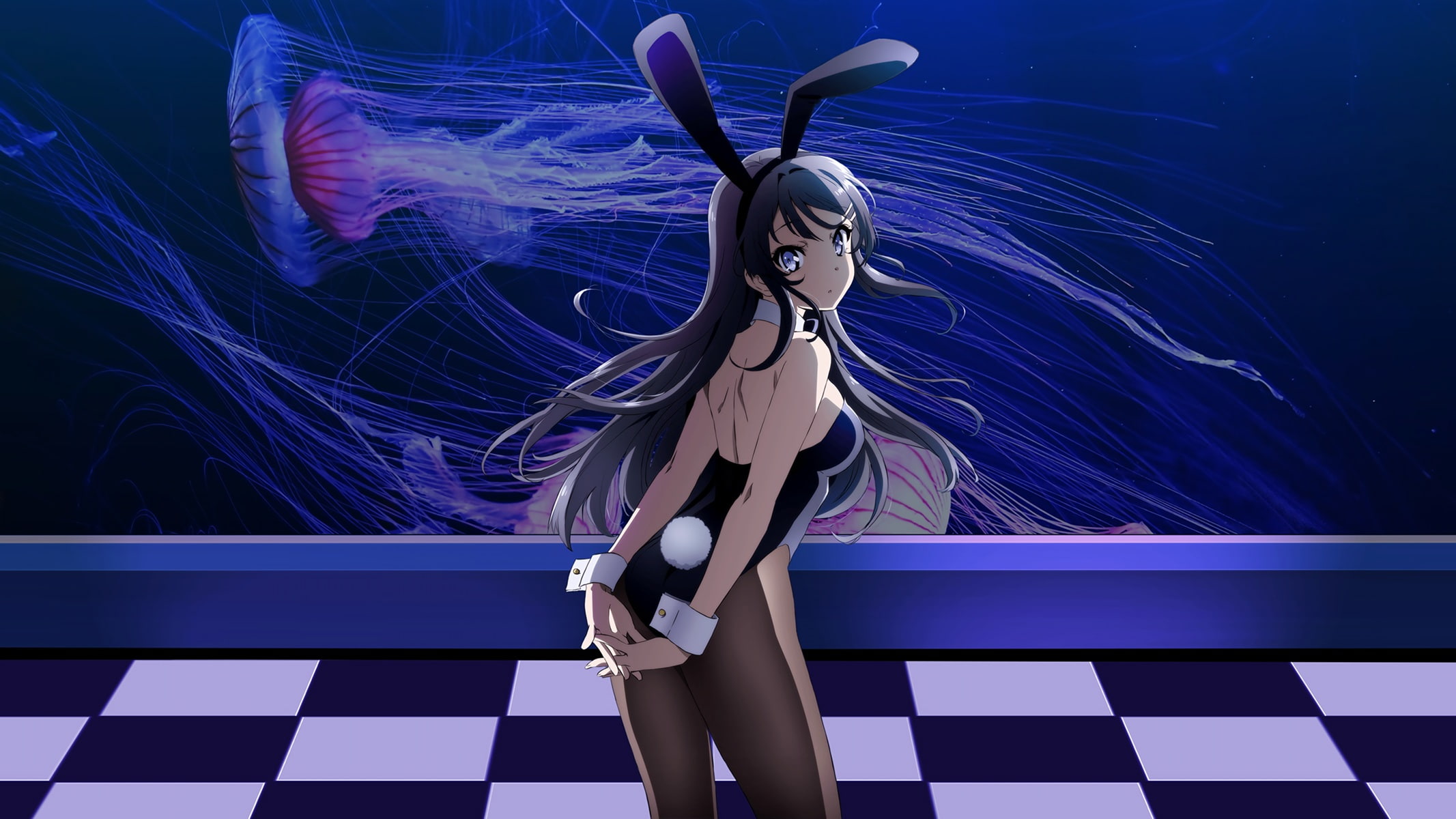 Anime Rascal Does Not Dream of Bunny Girl Senpai Mai Sakurajima 2k