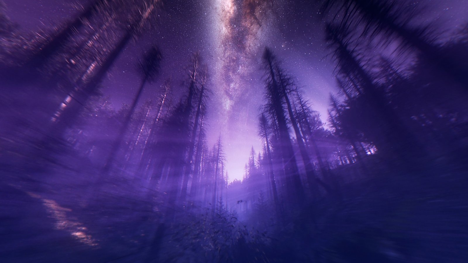 Purple Wilderness HD wallapers 2k