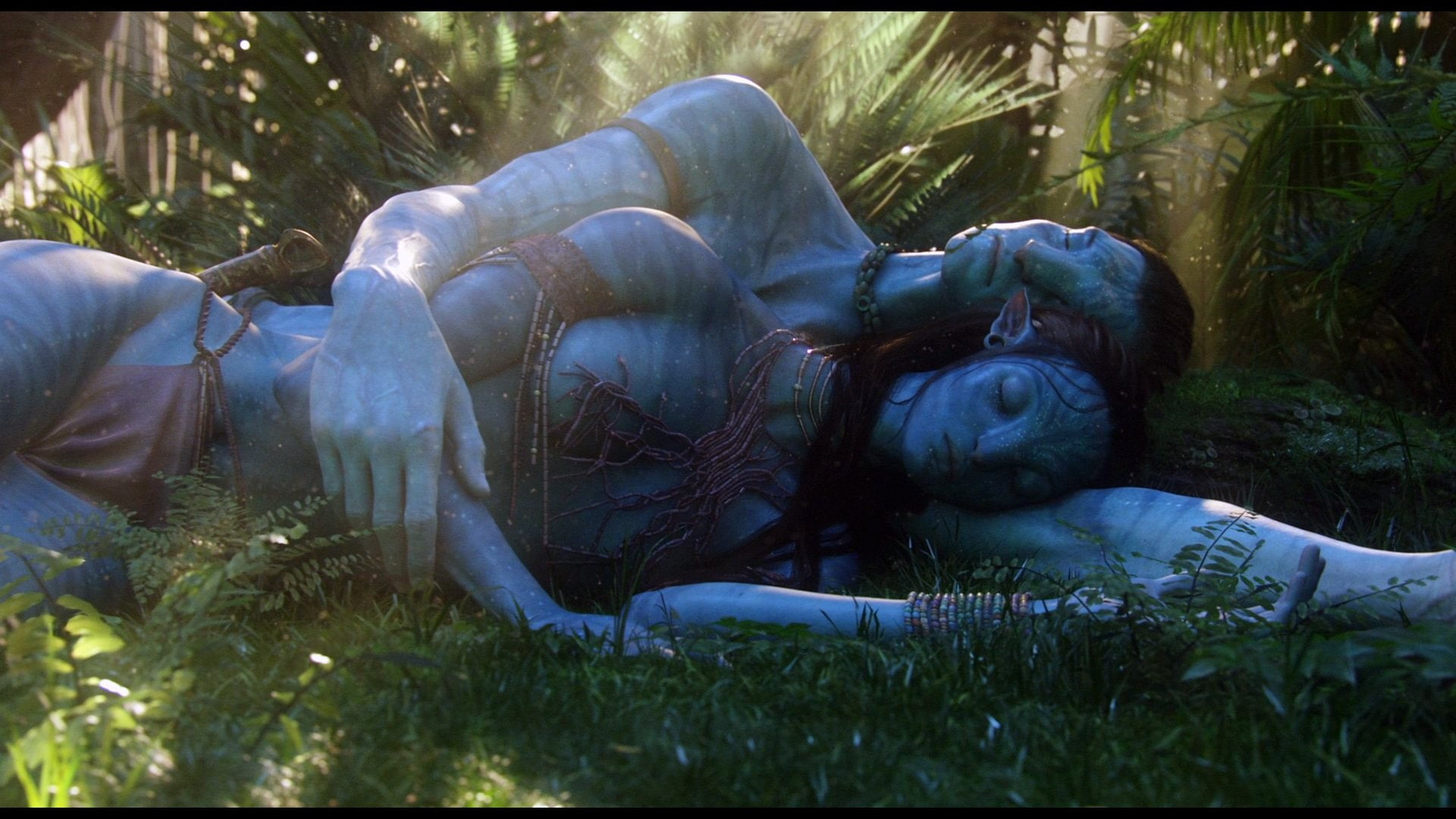 Avatar Grass Hug Jake Sully Na'vi Nature Neytiri 2k