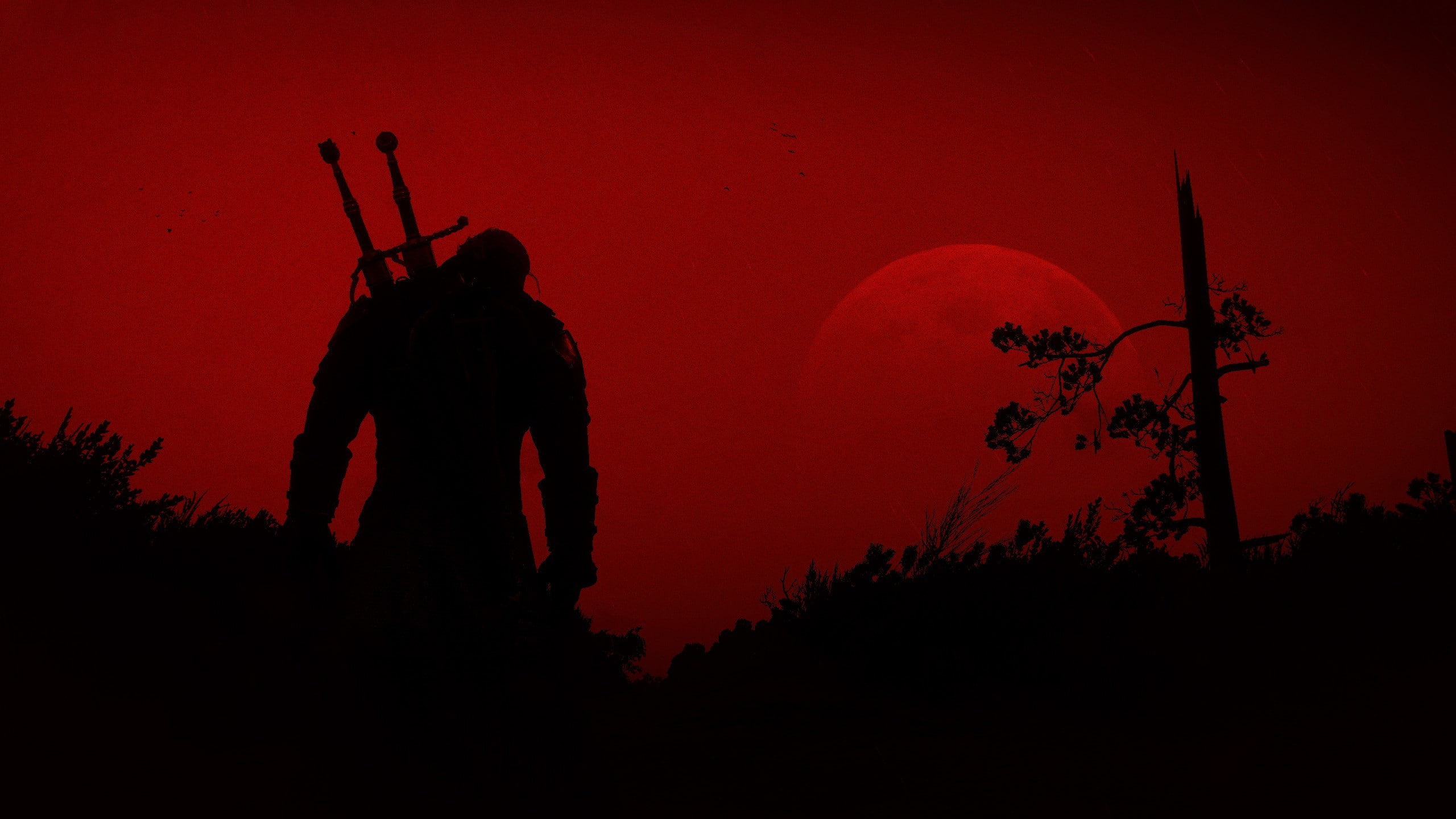 the witcher 3 wild hunt night silhouette sky nature people 2k