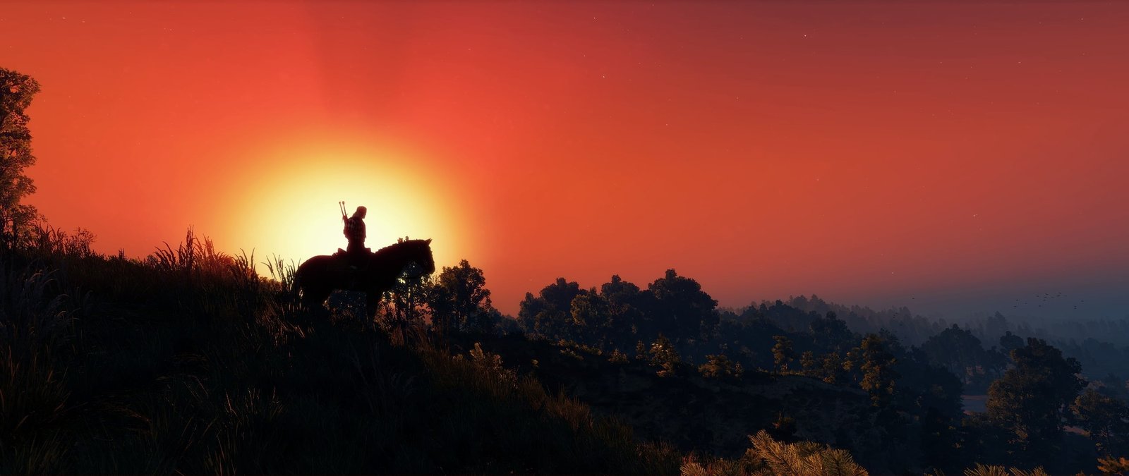 silhouette of person riding horse The Witcher 3 Wild Hunt sky 2k