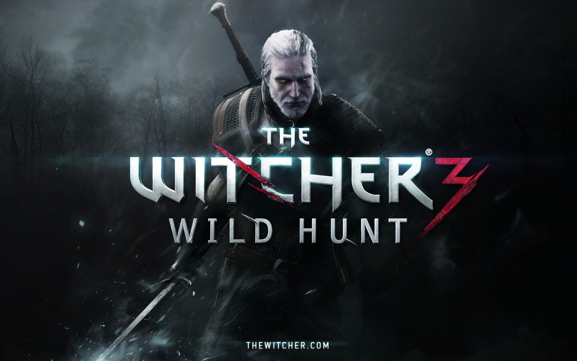 The Witcher 3 he witcher wild hunt poster 2k