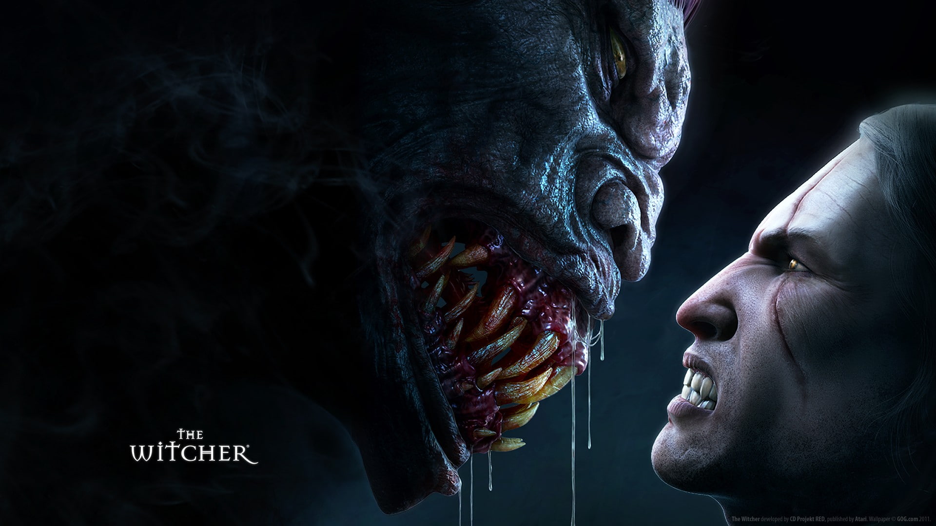 The Witcher human body part one person portrait headshot 2k