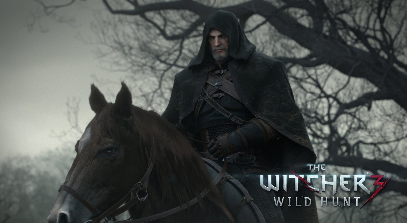 The Witcher 3 Wild Hunt digital wallpaper 2k