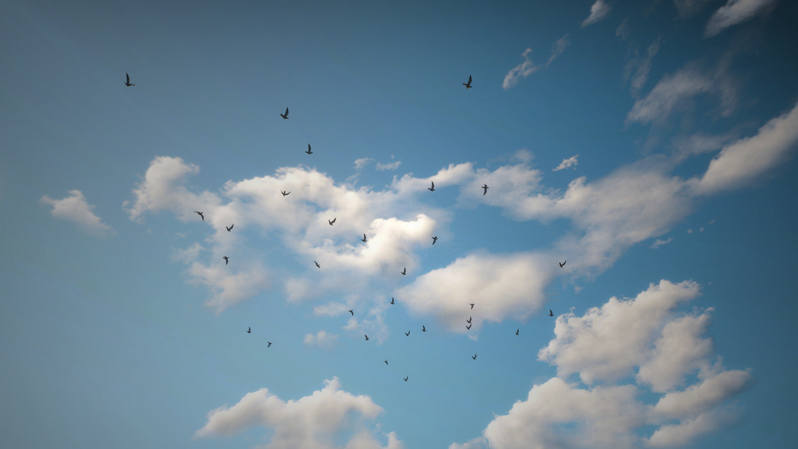 The Witcher 3 Wild Hunt Velen 2k