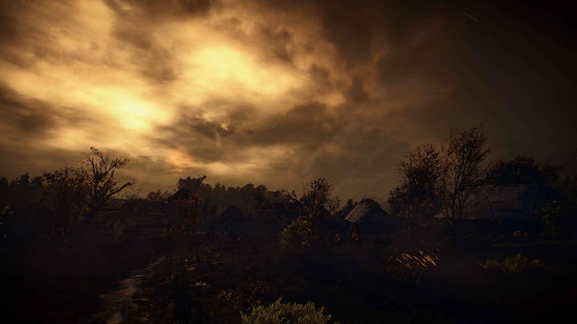 The Witcher 3 Wild Hunt video games tree cloud sky plant 2k