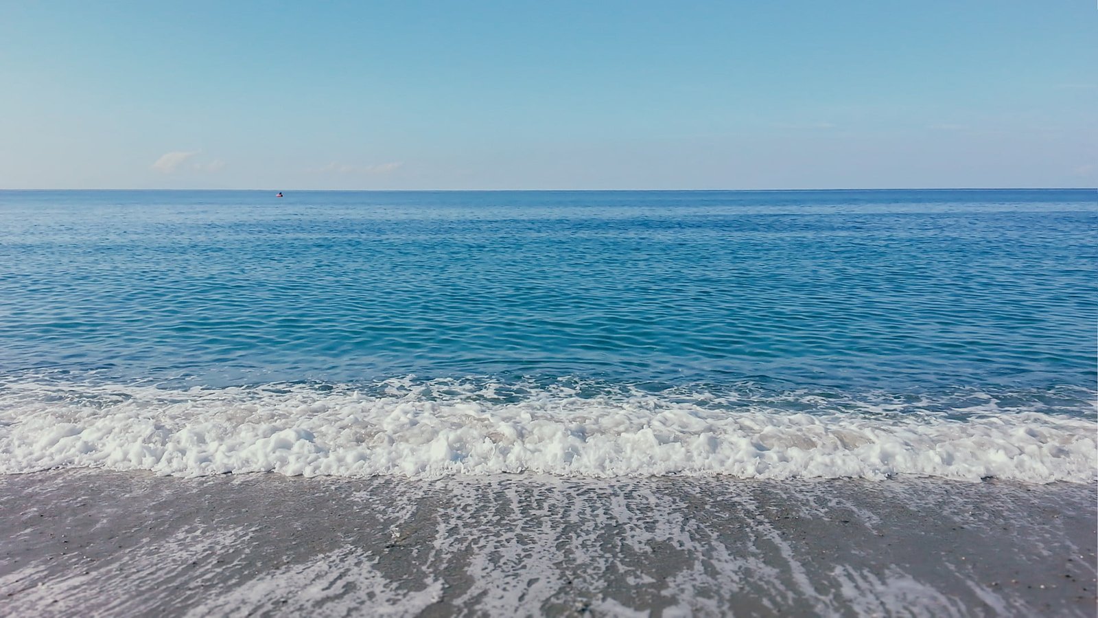 blue and white floral area rug beach sea horizon sand water 2k