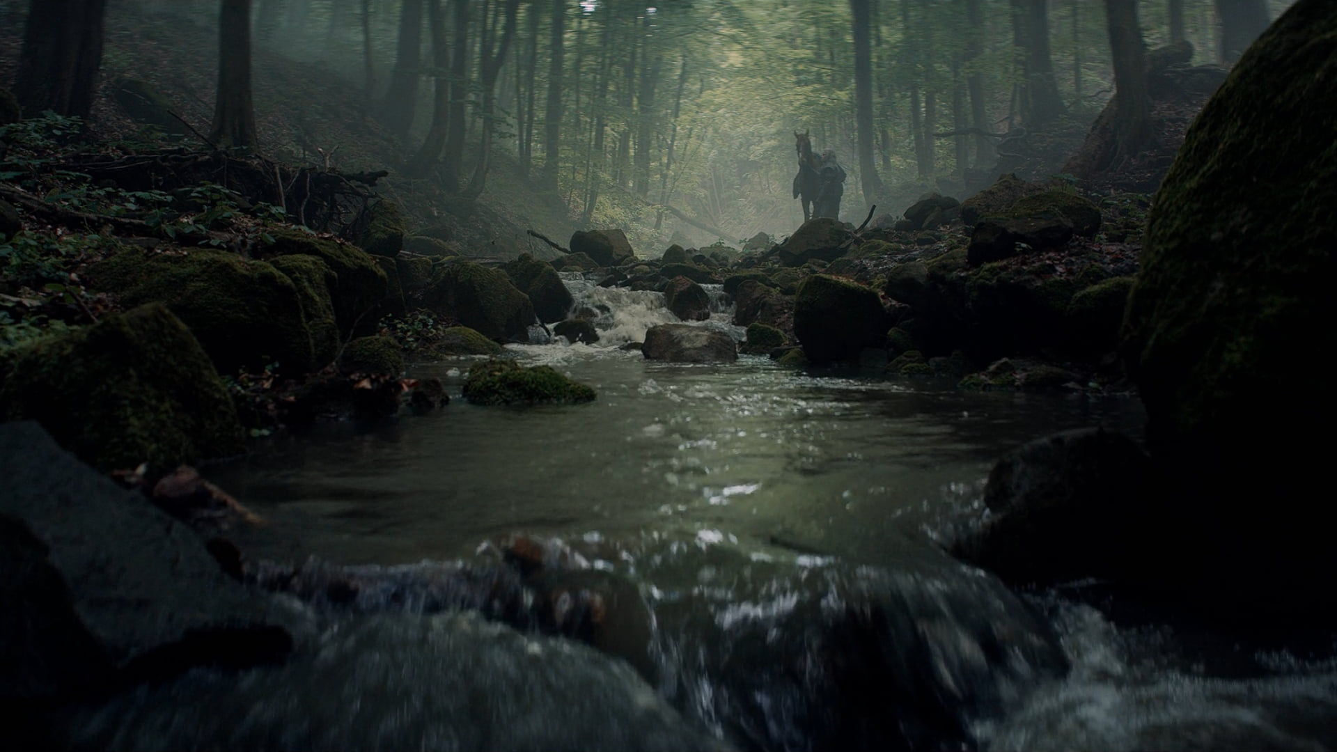 The Witcher TV Series Henry Cavill Roach 2k