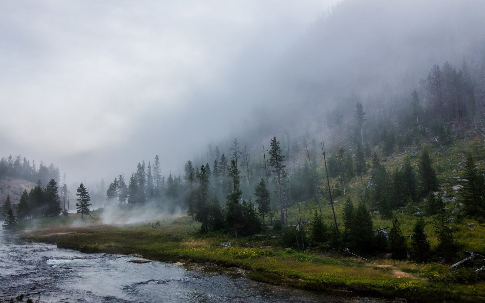 body of water surrounded with green trees landscape nature 2k