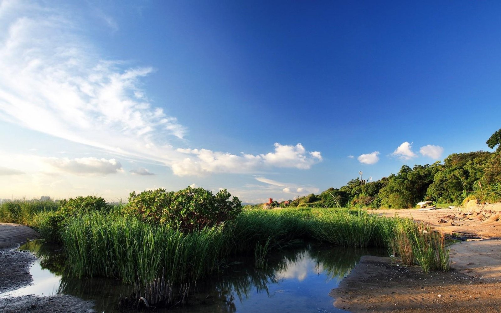 Windows 10 Nature Landscape Wallpaper water plant sky cloud 2k