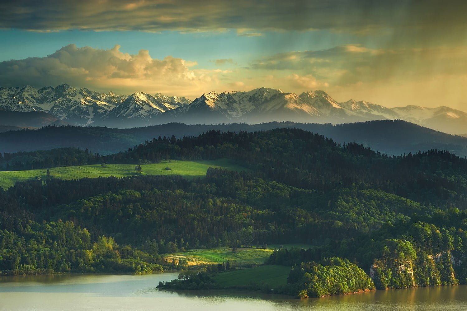 tree lot mountains Poland Tatra landscape nature Europe 2k