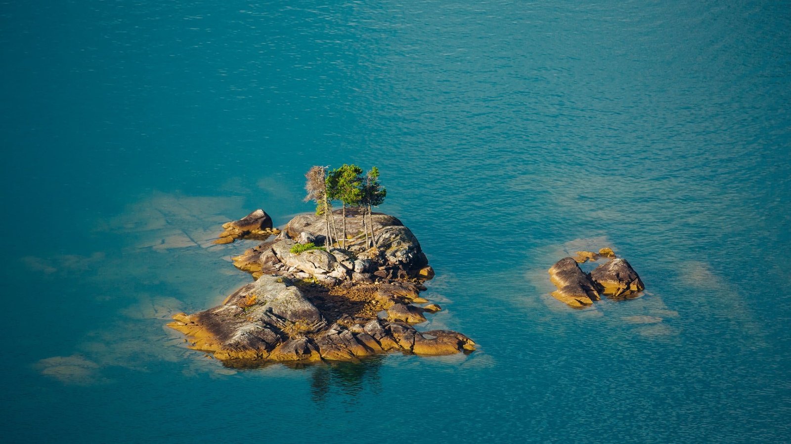 brown island nature landscape rock water trees sea aerial view 2k