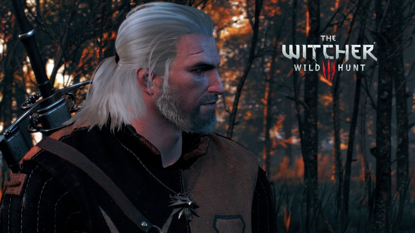 women's black long sleeved dress The Witcher 3 Wild Hunt headshot 2k