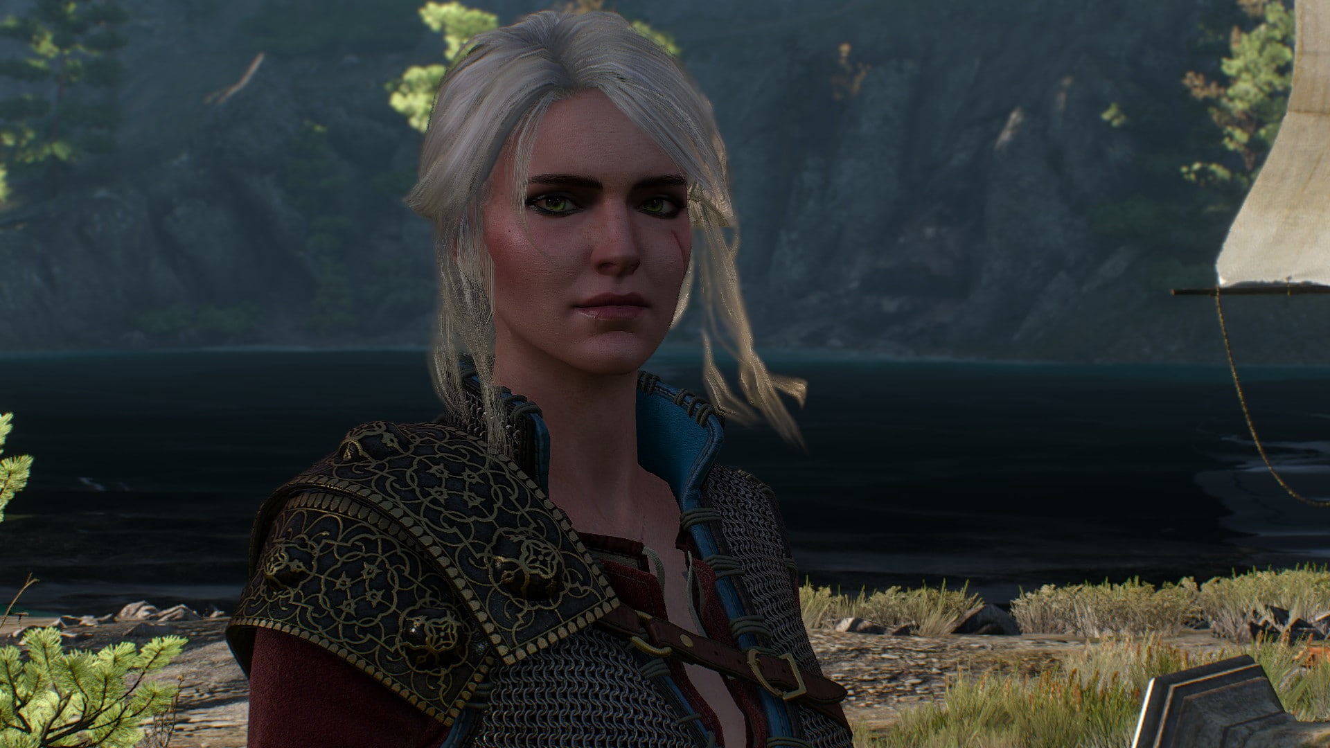 CD Projekt RED Ciri Cirilla Fiona Elen Riannon The Witcher 2k