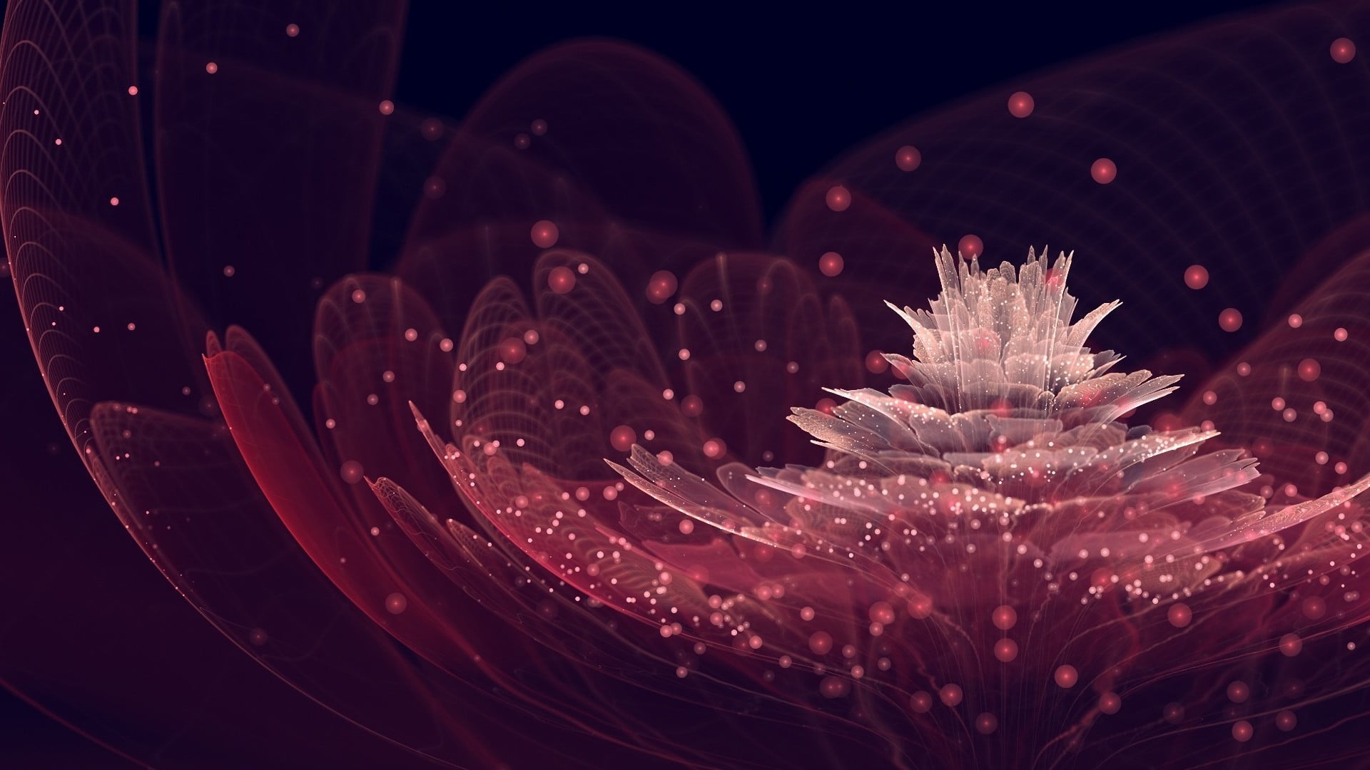 white and red flower illustration flowers fractal digital art 2k