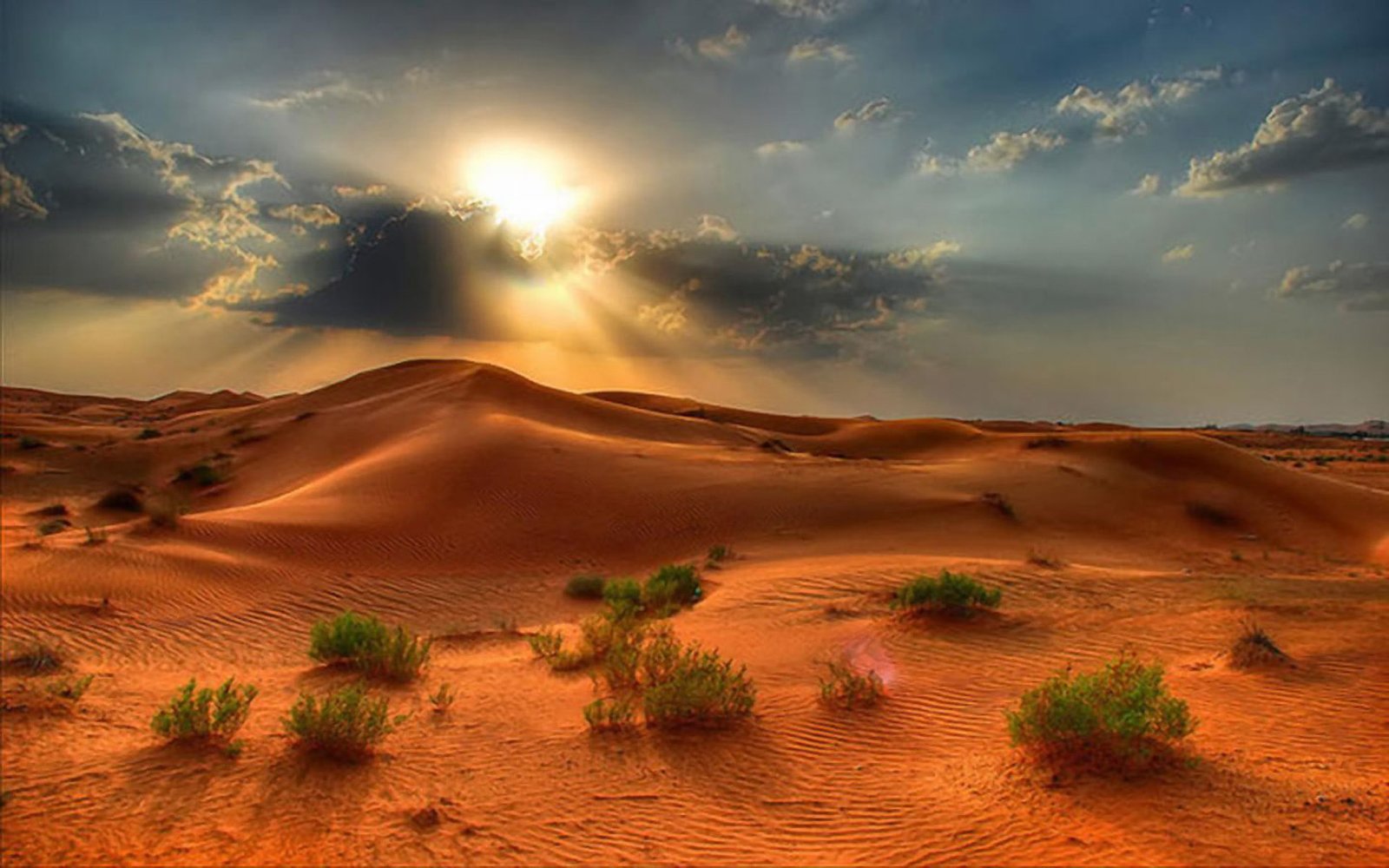Desert Landscape Summer Sunset In The Red Sand Beautiful Pictures 2k