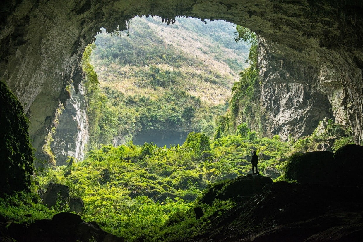 gray cave nature landscape trees forest men jungle rock