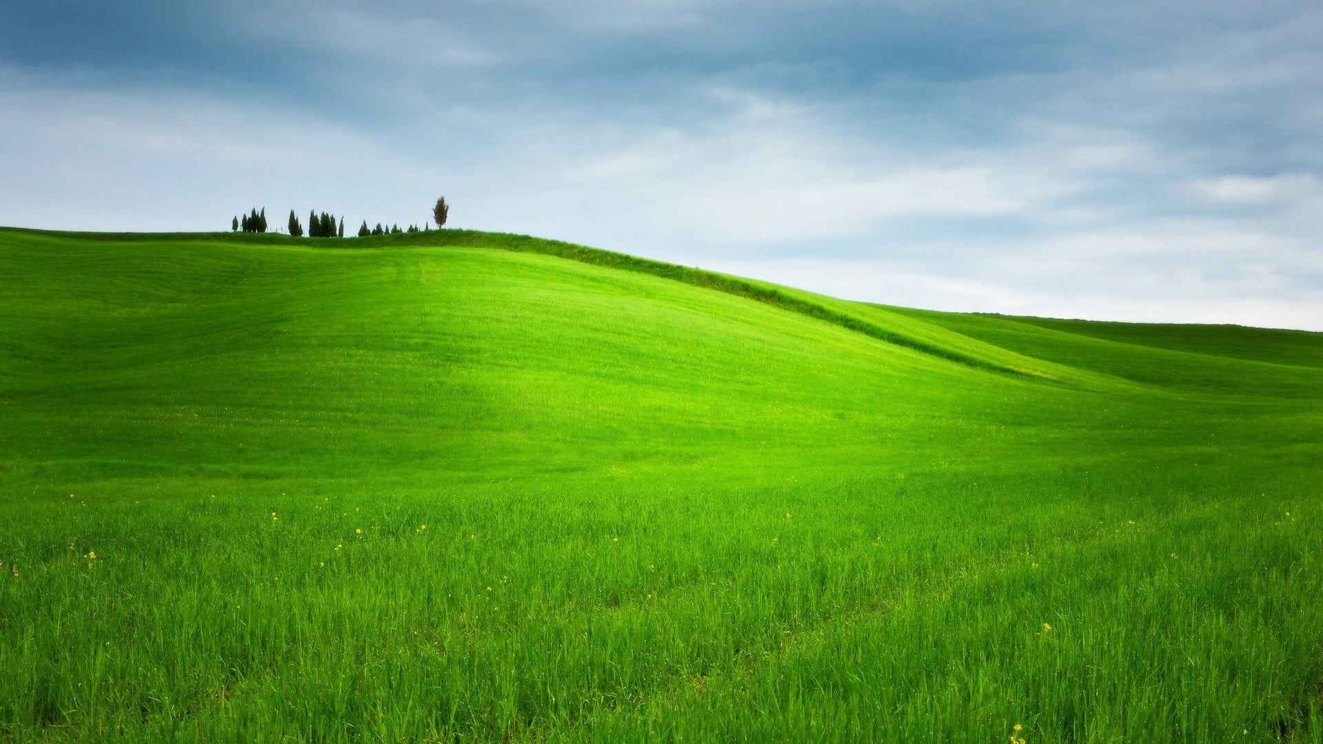 green grass field hills trees landscape nature color 2k