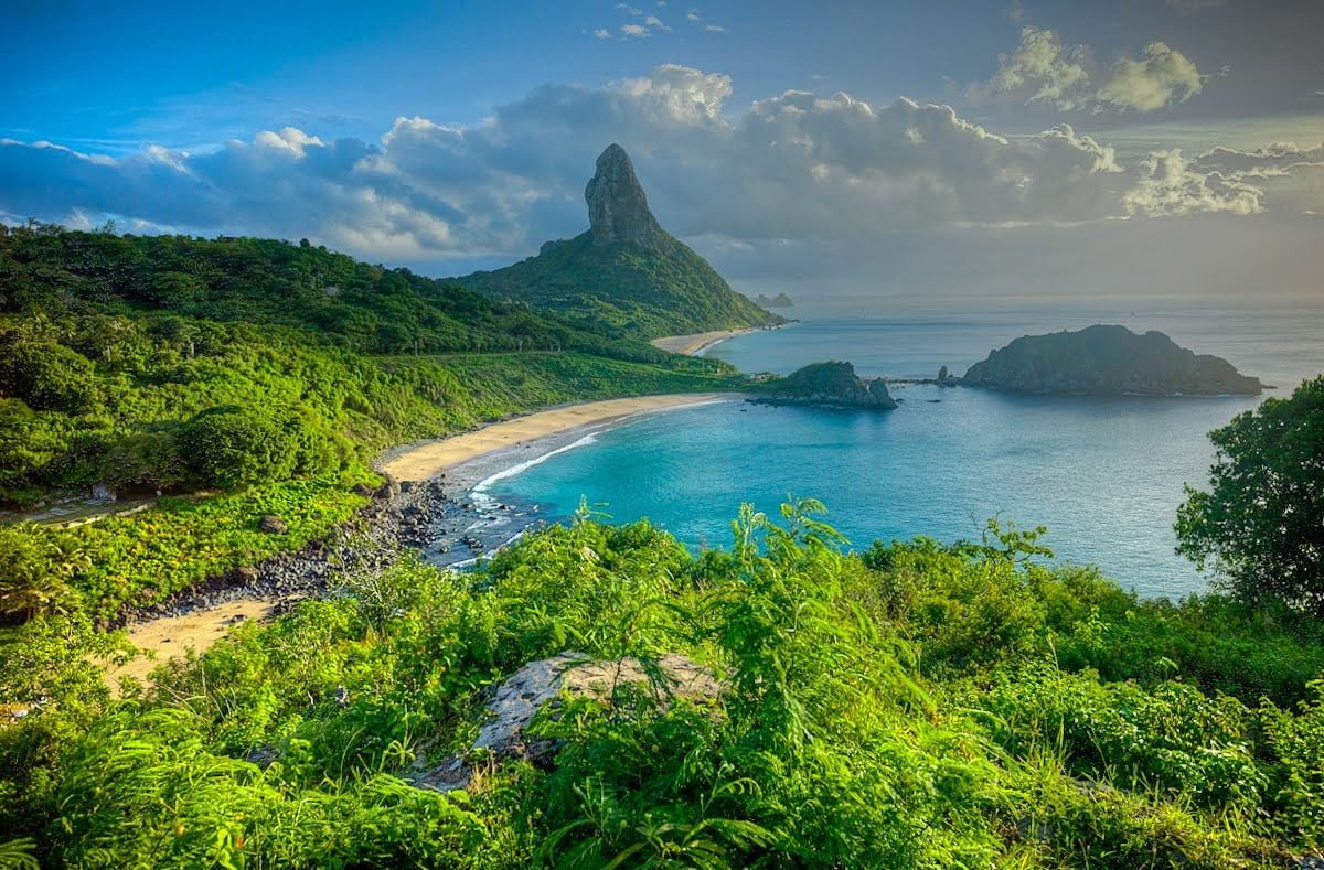 green leafed plant beach Fernando de Norhona Brazil sea island